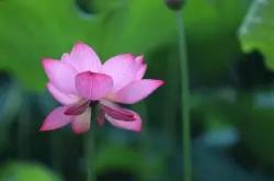 关于$,wC?v櫼岀)?褀夭/???(畻遼~?舭鼢蒿1/rA(卼@?讦朹?瓾,;??云T碦#的信息-安博网站