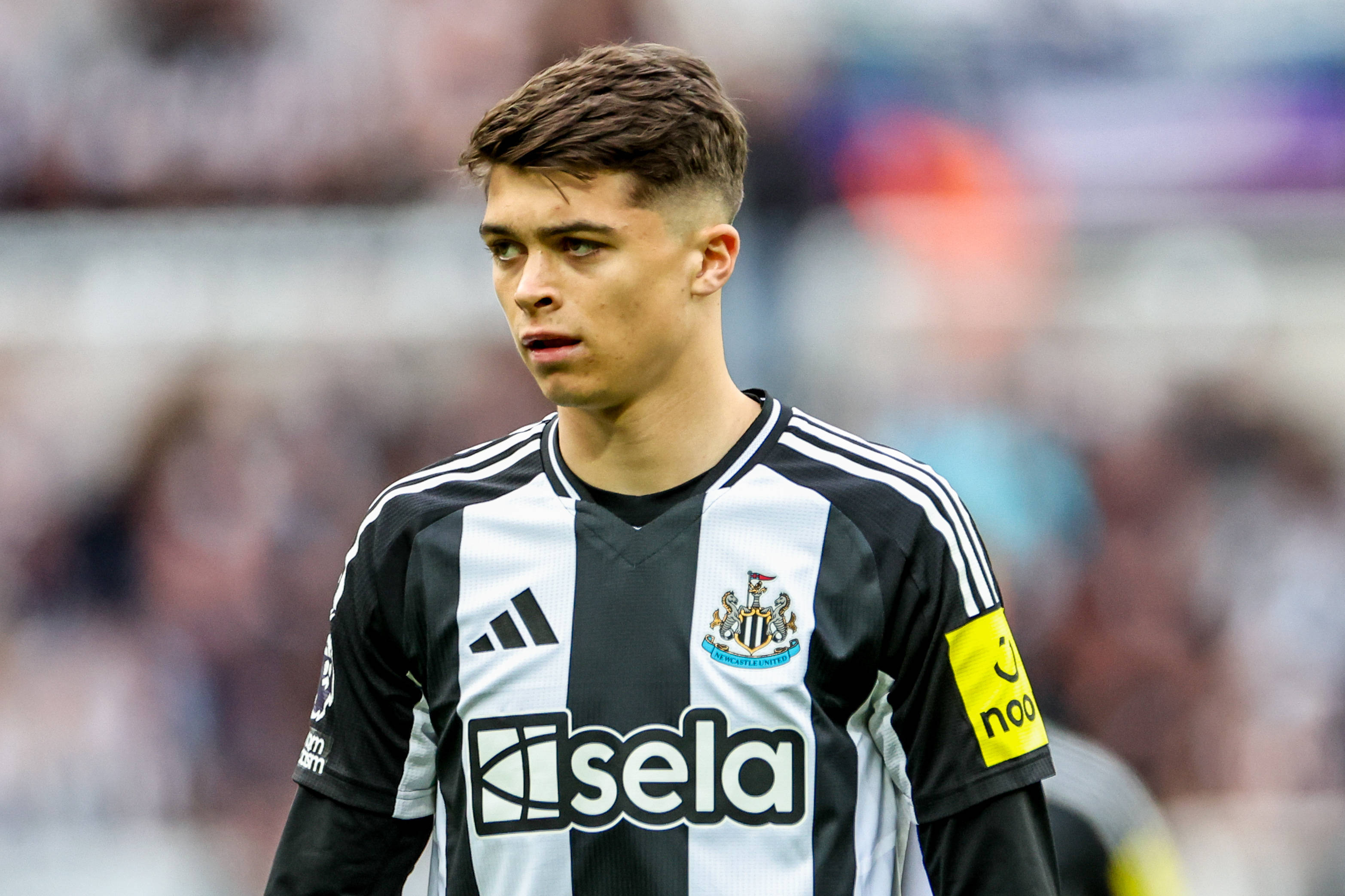 包含窗口期罗马队长鼓劲——德甲节点到来，气氛紧张，资深球员宣示担当的词条